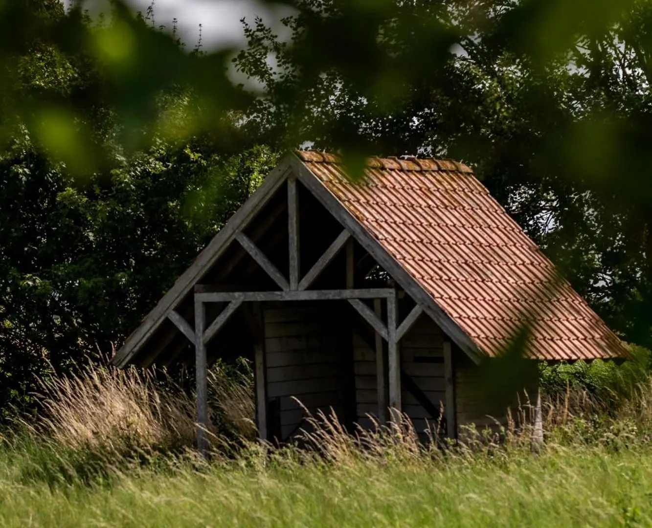 Les Jardins De Jeanne Lejlighed Middelkerke
